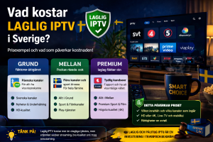 vad är straffet för att ha iptv